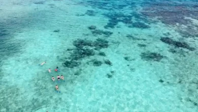 Belize Sırt Çantalı Gezi