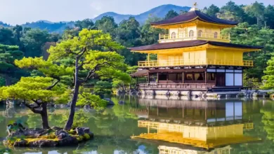 Kyoto Gezi Programı