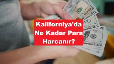 Kaliforniya'da Ne Kadar Para Harcanır