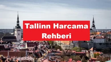 Tallinn'de Ne Kadar Harcarım