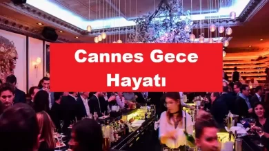 Cannes-Gece-Hayati
