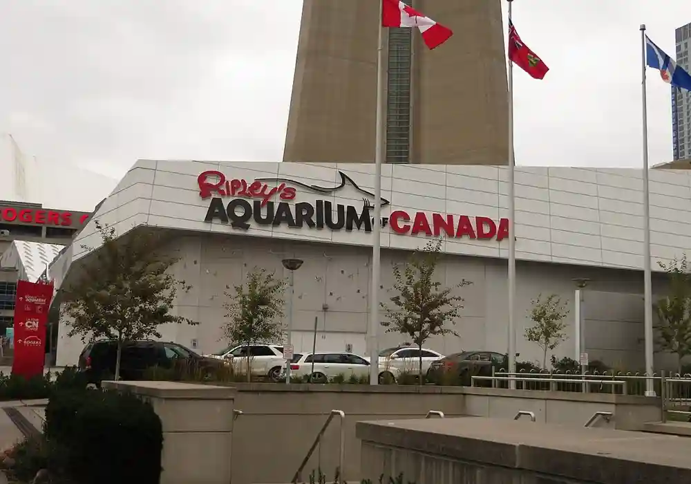 Ripleys-Aquarium-of-Canada
