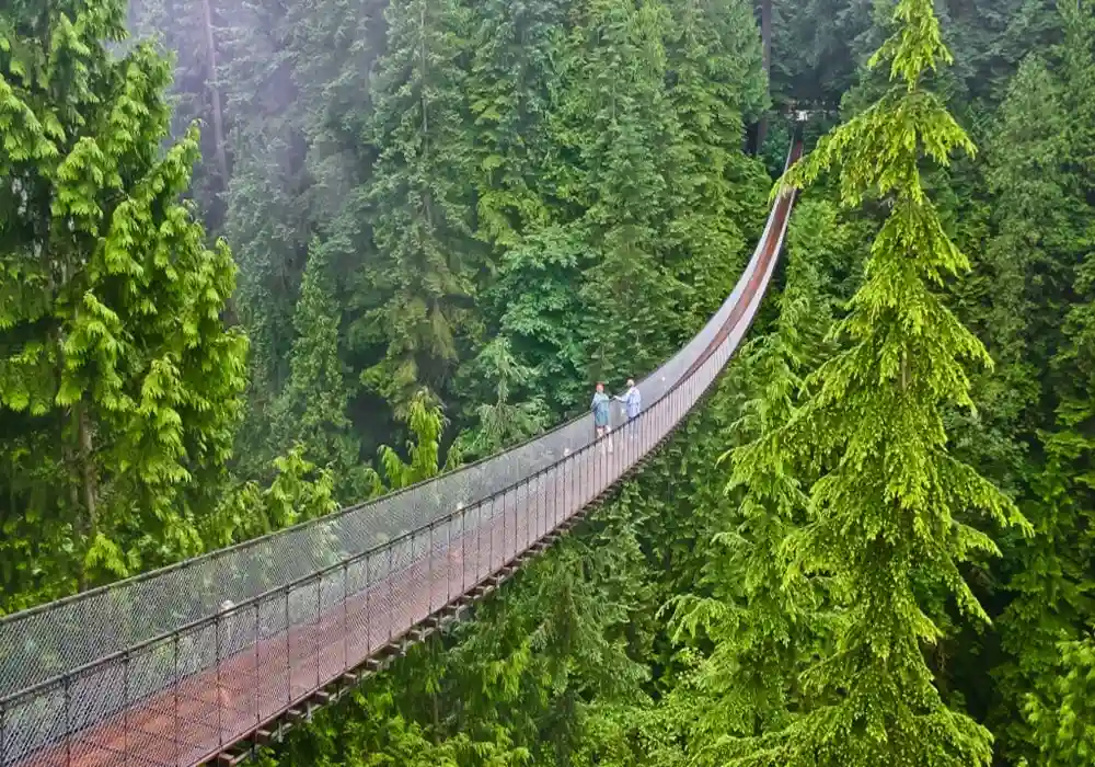 Vancouver-Capilano-Asma-Koprusu-gezi-rehberi