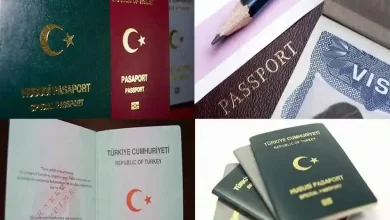 pasaport nasıl çıkartılır