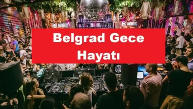 Belgrad Gece Hayatı