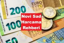 Novi Sad'da Ne Kadar Harcarım