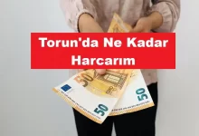 Torunda-Ne-Kadar-Harcarim