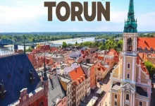 Torunda-Yapilacak-Seyler-2025