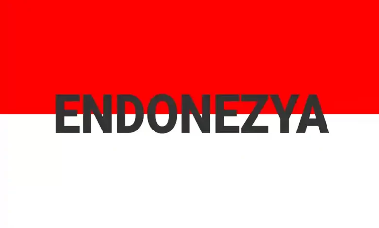 endonezya