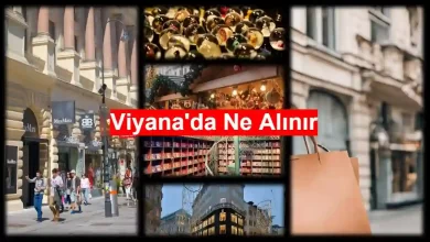 Viyana'da ne alınır