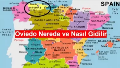 Oviedo nerede ve nasıl gidilir
