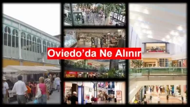 Oviedo'da ne alınır